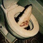 CMoskos's Avatar'