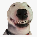 pktm__'s Avatar'