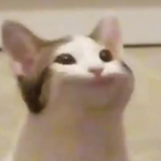 Sky on sab's Avatar'