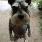 rrastaman.'s Avatar'