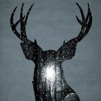 Wettyfapper's Avatar'