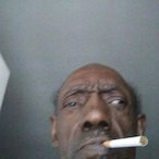 KoalaMane's Avatar'