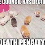 FazShootypewpew's Avatar'