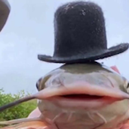 Fishy2522's Avatar'