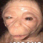 Roundsidedbanana's Avatar'