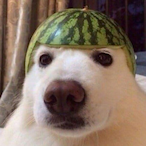 getr6kt's Avatar'