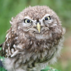 Nukular1's Avatar'