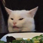 Catsoup20's Avatar'
