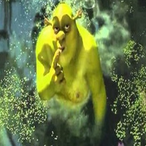 BigBluckYa-rack's Avatar'