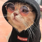 Jasonderboss67's Avatar'