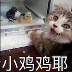 MakkaPakkaQ-Q's Avatar'