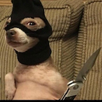 Rat_Rangler's Avatar'