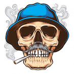 D-Terror62's Avatar'