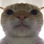 Igor_Matovic69's Avatar'