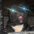 R0okieMistekes's Avatar'