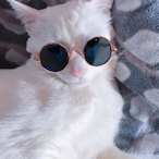 narcissisttq's Avatar'