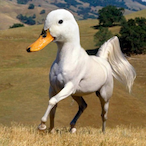 Jonas_3611's Avatar'