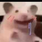 DOUBLE_NOOB's Avatar'