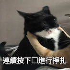 Punchmadefev's Avatar'