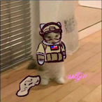 PiTy.Carvalho's Avatar'