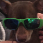 ogbeast3035's Avatar'