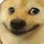 DOGE_Cheems's Avatar'