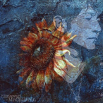 Apollo.No18's Avatar'