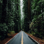 FreshMintys's Avatar'