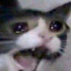 Mildly_Finnish's Avatar'