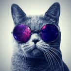 Miaouuu.'s Avatar'