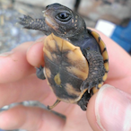 dfadfhwsrgwseb's Avatar'