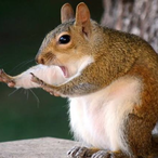 WeedWonka.'s Avatar'