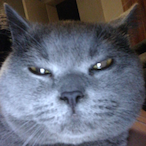 NRW_PANDA's Avatar'