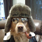 Axtwunde's Avatar'