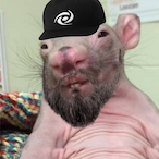 Anaaa4162's Avatar'