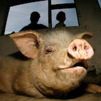 KidOn10FPS's Avatar'