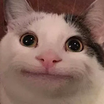 BondB's Avatar'