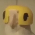Danc1ng_Fox's Avatar'