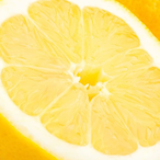 lemontickletoes's Avatar'