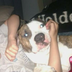 krayzieZF-'s Avatar'