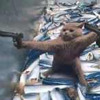 GoldKangaroo's Avatar'