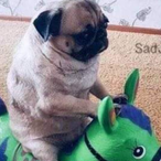 Mynameis_Mo's Avatar'