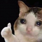 SadCat_GG's Avatar'