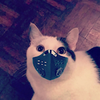 A_MR93's Avatar'