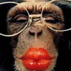 fran-nasty's Avatar'