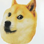 Tachanka.58's Avatar'