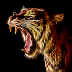 FriedTiger's Avatar'