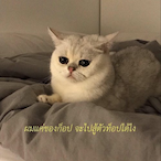 HoldPixel-'s Avatar'