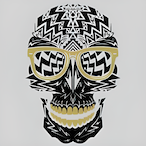 HYXAR's Avatar'