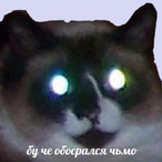 HotChiliPepe's Avatar'